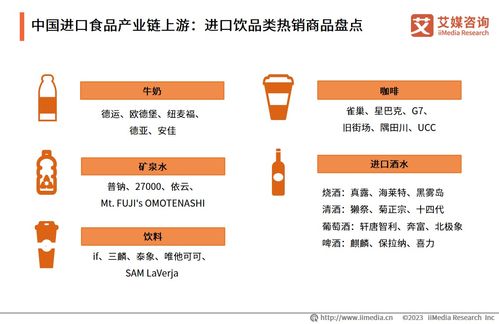 2023-2024年中國進口食品電商行業展望 市場規(guī)模持續擴大與河北網站開發(fā)的機遇